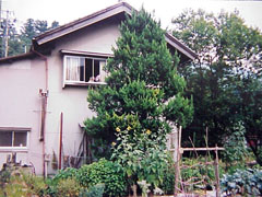 BackYard_Ƃ̗ł