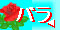 Back_to_Rose_õy[Wɖ߂