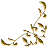 ConerNinto100_LR.gif (2500 oCg)