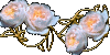 Ninto_Bx_JaneAustine.gif (4588 oCg)