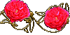 Ninto_Bx_LDBraithwaite.gif (4290 oCg)