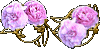 Ninto_Bx_MaryRose.gif (4576 oCg)