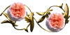 Ninto_w_AbrahamDurby.gif (3735 oCg)