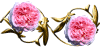 Ninto_w_EglantyneMasako.gif (3991 oCg)