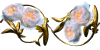 Ninto_w_JaneAustine.gif (4218 oCg)
