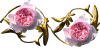 Ninto_w_StCecelia.gif (3858 oCg)