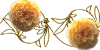 Ninto_x_GrahamThomas.gif (4117 oCg)