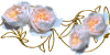 Ninto_x_JaneAustine.gif (4419 oCg)
