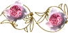 Ninto_x_StCecelia.gif (3955 oCg)