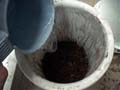 RepottingPotNo1BottomSoil_Aւ̔PԖڂ̒y
