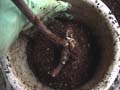 RepottingPotNo1Fixing_AւPԖڐA݌Œ
