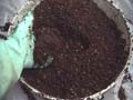 RepottingMixingWetSoil_Aւ̎y