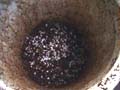RepottingPotNo2BottomSoil_AւQԖڂ̒y