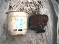 RepottingNo3_AppleDecorPot_AւRԂߒʋ