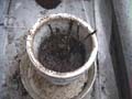 RepottingNo3Finish_AւRԂߊ