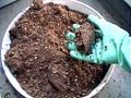 MakingLeavenManure10_{JVł悭荬