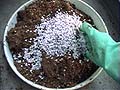 MakingLeavenManure11_{JV葽Eǉ