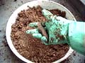 MakingLeavenManure15_{JV̔yi̔SC