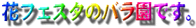 FlowerFestivalComemo-Park_ԃtFX^LOo