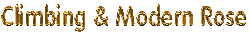 05ClimingModernLogo