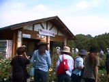 14RoseMarket