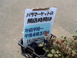 15RoseMarket