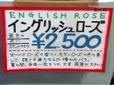 16RoseMarket