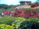 21StepstoGarden