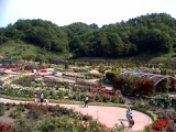 28RoseGarden_Landscape01