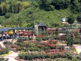 29RoseGarden_Landscape02