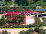 29RoseGarden_Landscape03