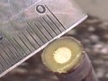 Scion Diameter 8mm }̒a8~