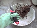 Cutting-knife and Rubber-gloves ؂oiCtƃS