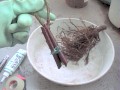 Bundle of Cuttings for sinking in water Zߑɂ