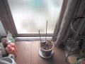 care inside the house window Ƃ̑ۂŊǗ