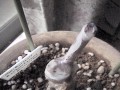 1week after, paraffin coating crack vertically ptBR[gcɊ